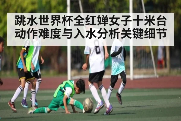 跳水世界杯全红婵女子十米台动作难度与入水分析关键细节