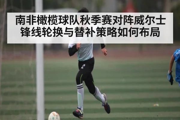 南非橄榄球队秋季赛对阵威尔士锋线轮换与替补策略如何布局